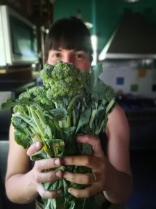 brocoli fresco